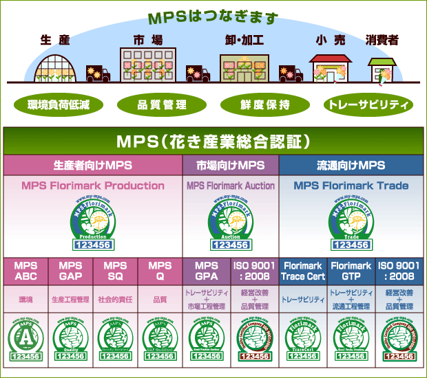 MPSの体系