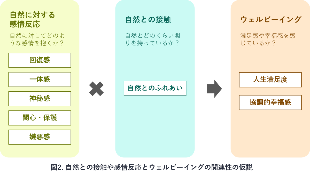 図2.自然との接触や感情反応とウェルビーイングの関連性の仮説
