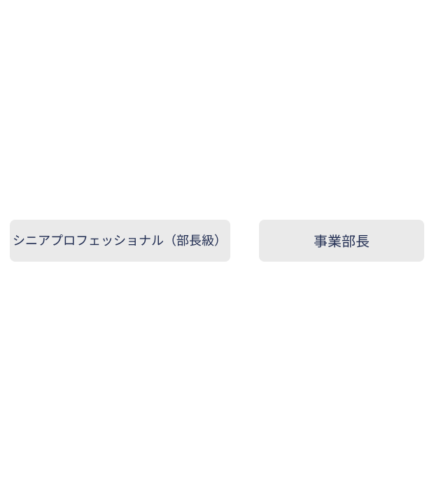 首席スペシャリストフェロー 事業部長