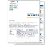 フォーネスビジュアス検査結果報告書サンプル