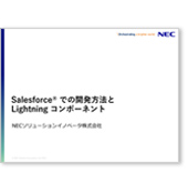 Salesforce®での開発方法とLightning コンポーネント