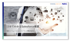 15分でわかるSalesforce概要